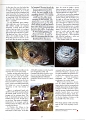19870400 WM WORLD MAGAZINE Preview 13
